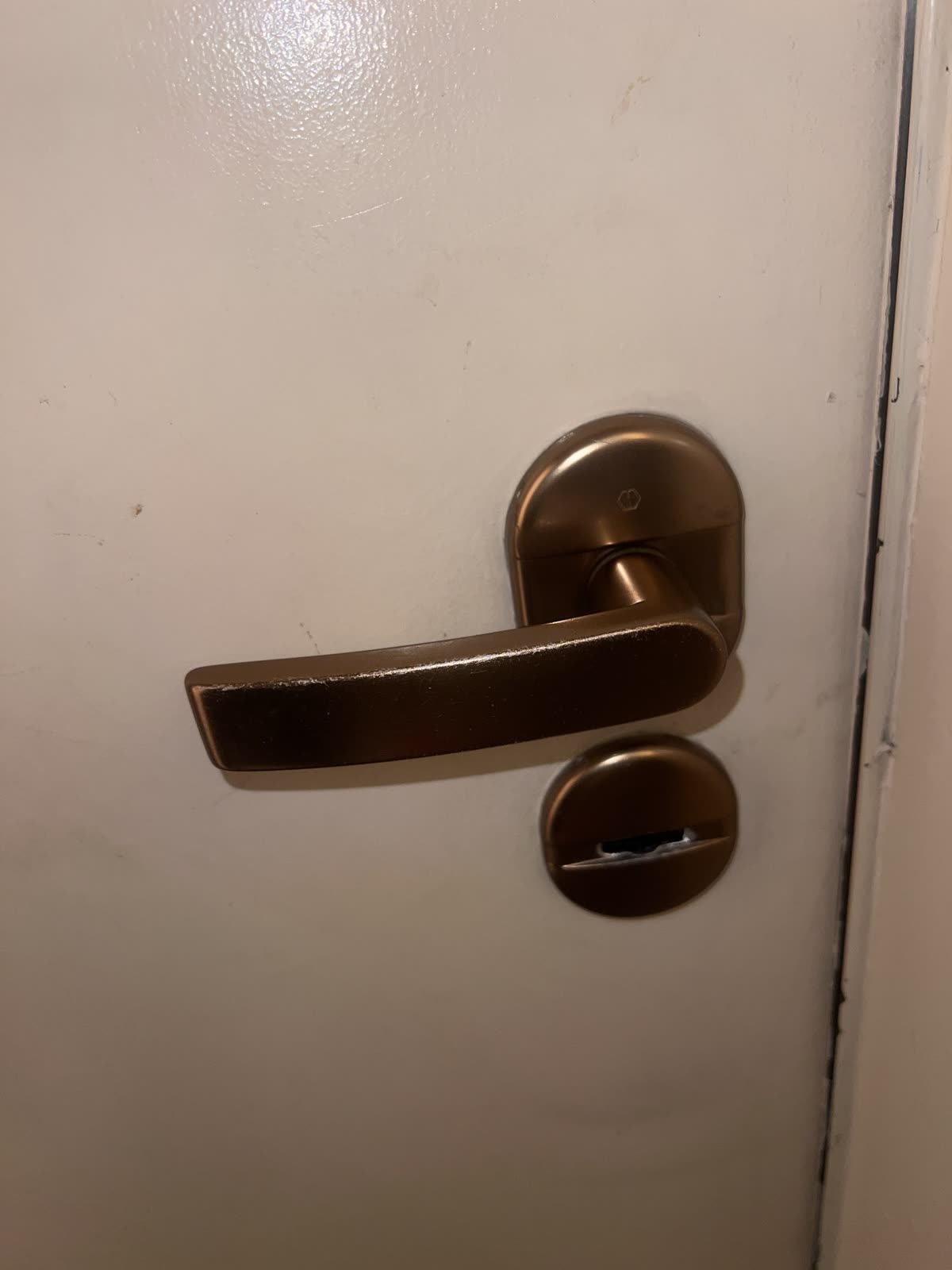 Détail d’une poignée et d’un cylindre de porte